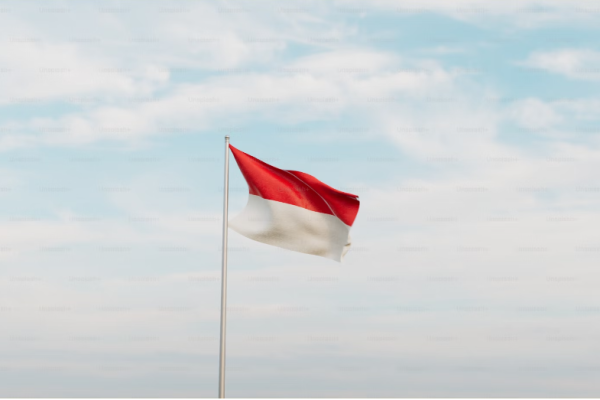 Bebasinindo: Empowering Indonesia's Path to Freedom