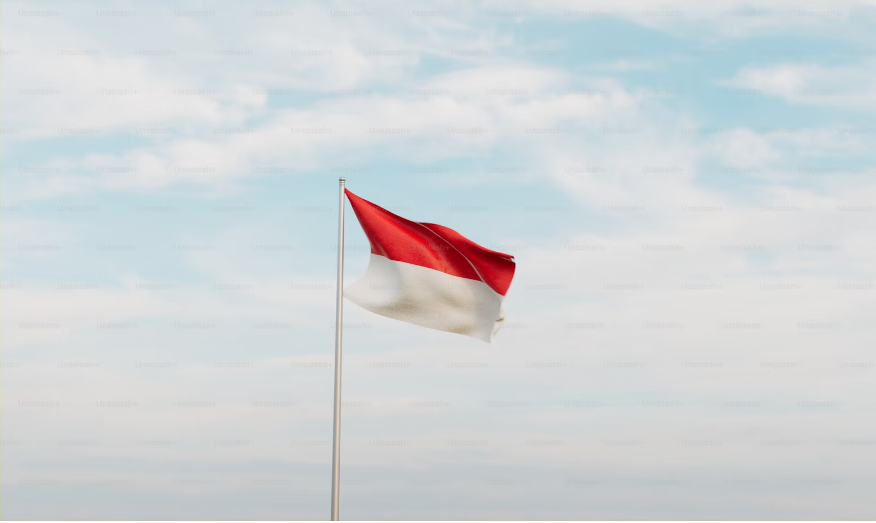 Bebasinindo: Empowering Indonesia's Path to Freedom