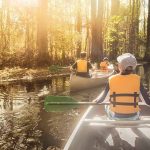 A Nature Lover's Florida Holiday: Best Spots for Eco-Tours