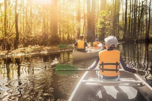 A Nature Lover's Florida Holiday: Best Spots for Eco-Tours