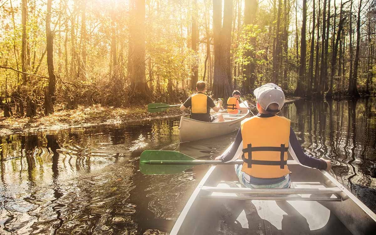 A Nature Lover's Florida Holiday: Best Spots for Eco-Tours