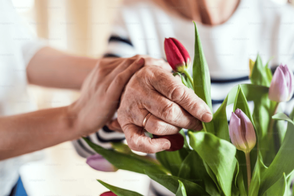 Blooming Love: The Best Flowers to Give Your Mom