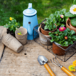 Take Your Gardening to the Next Level: Tips for a Thriving Garden