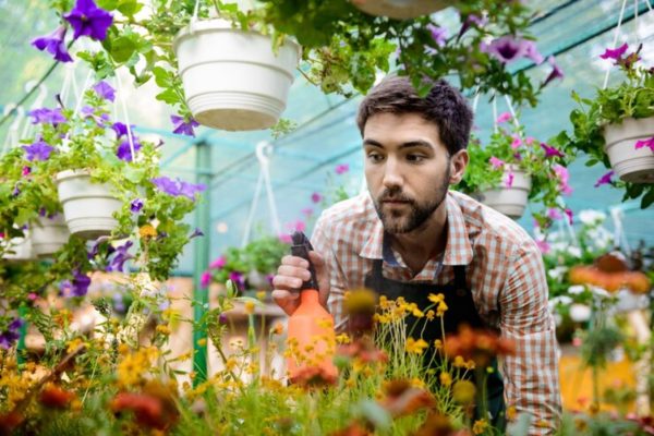 Take Your Gardening to the Next Level: Tips for a Thriving Garden