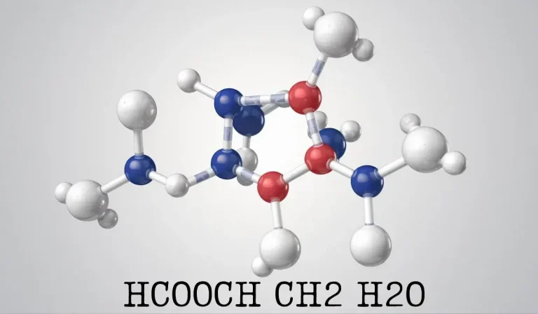 HCOOCH CH2 H2O: The Hidden Power of Molecules