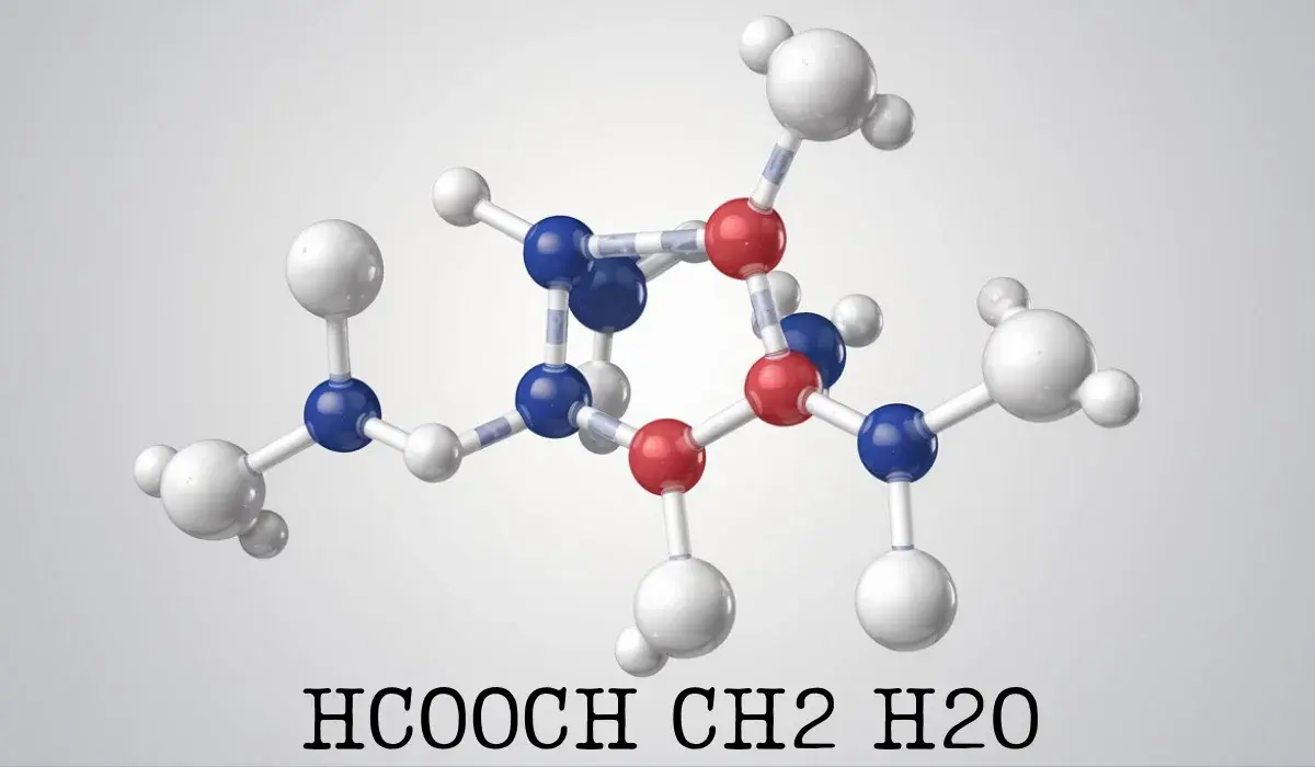 HCOOCH CH2 H2O: The Hidden Power of Molecules