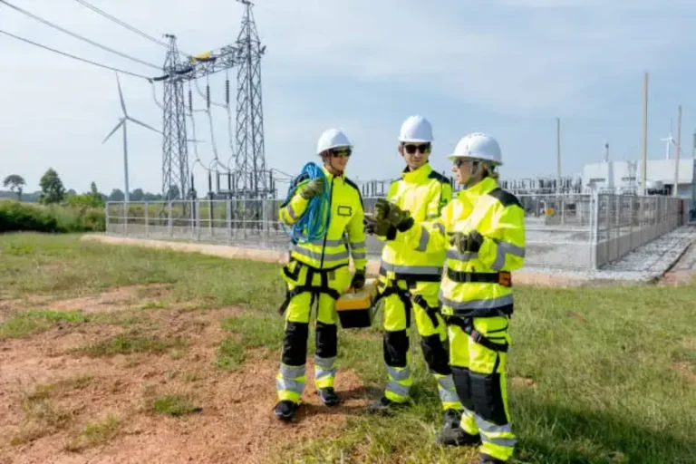 Närkes Elektriska: Exploring Its Evolution and Business Model