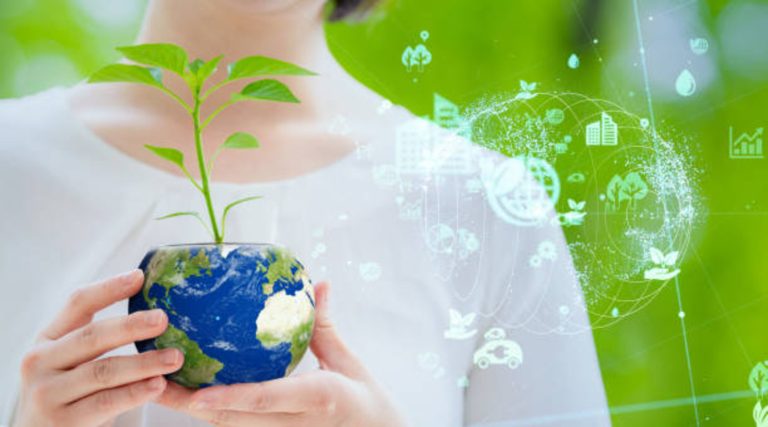 Tex9 Net Green IT: The Future of Sustainable Digital Solutions