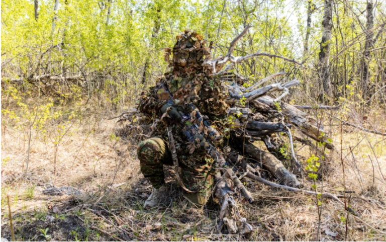 Tarnplanen: A Guide to Camouflage Tarps for Tactical & Outdoor Use