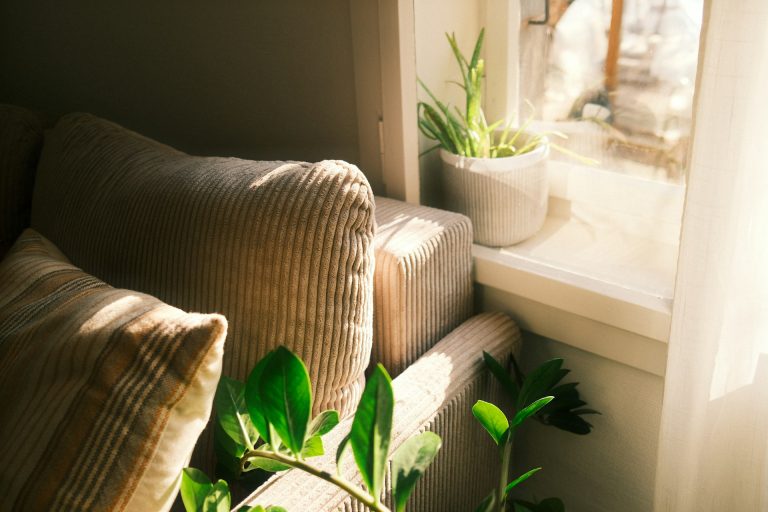 Smart Ways to Make Your Home More Eco-Friendly