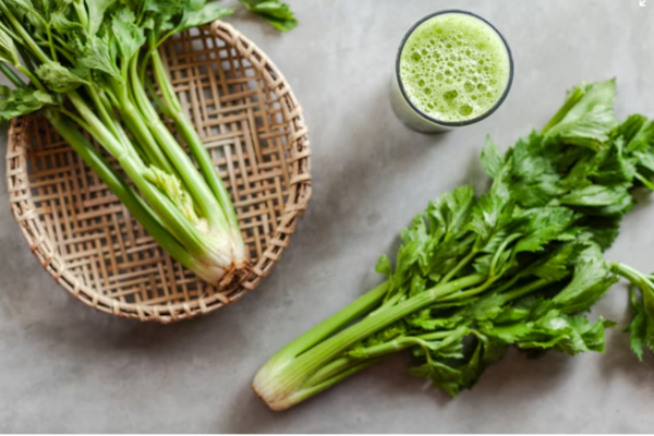 Pravi Celer: Nature’s Powerhouse for Optimal Health