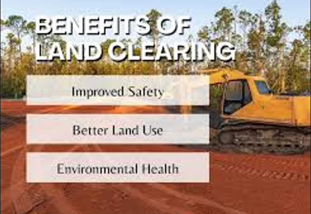 Innovative Approaches to Land Clearing for Healthier Ecosystems