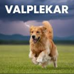 Valplekar: Tracing the Meaning and Evolution