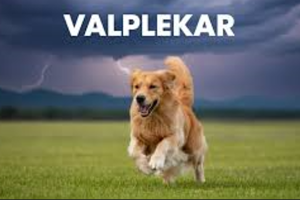 Valplekar: Tracing the Meaning and Evolution