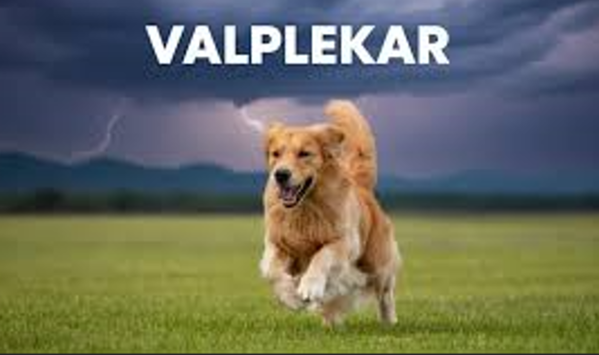 Valplekar: Tracing the Meaning and Evolution